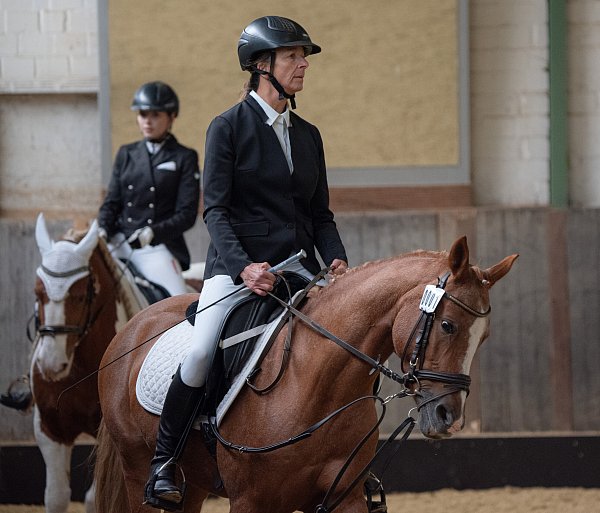 Sabine Möller vom RV Vilsendorf gewann auf A Diamont Girl den Dressurreiter-Wettbewerb. - © Felix Brenneke