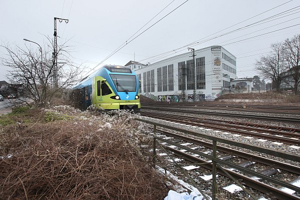 Kurz vor dem Bahnhof: Der Nahverkehrszug wird gleich zum Stehen kommen. - © Frank-Michael Kiel-Steinkamp