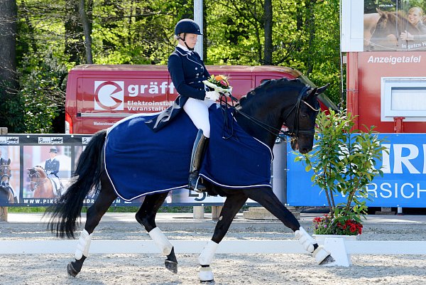 Dressurprüfung der Klasse S um den St. Georg: Ann-Christin Wienkamp gewann mit Frizzantino. - © Markus Schumacher