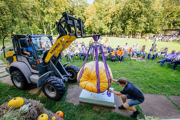 Besucher des Kürbisfestivals in Bad Lippspringe können sich auf die Kürbiswiegemeisterschaft freuen. - © Gartenschau Bad Lippspringe