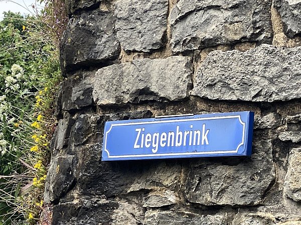 Der Ziegenbrink: Eine bewachsene Steinmauer führt den Weg entlang. - © Foto: Horst Biere