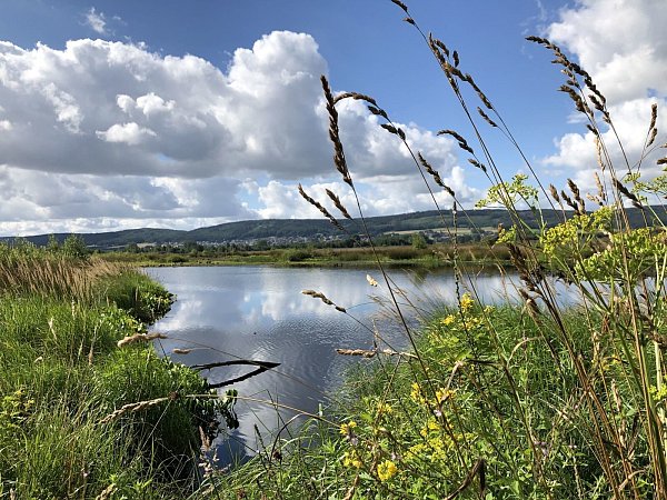 Das Große Torfmoor bietet abwechslungsreiche Flächen und steht für Lebensqualität. - © Stefanie Dullweber