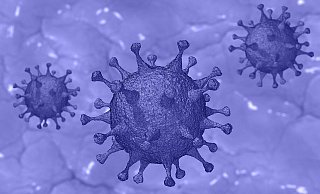 Das Coronavirus soll durch die Mutanten laut Experten deutlich ansteckender sein. - Pixabay