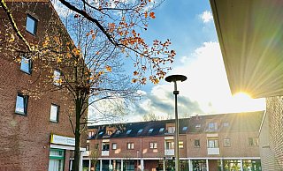 Die kleine Lohmannshof-Siedlung im Licht der Herbstsonne. - Stefan Becker
