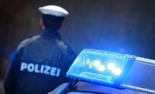 Die Forscher untersuchten 292 Fälle, die in die Polizeiliche Kriminalstatistik (PKS) eingegangen sind. (Symbolbild) - Karl-Josef Hildenbrand/dpa