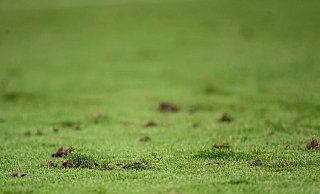 Die Frankfurter Arena hat ein Rasenproblem. - Swen Pförtner/dpa