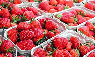 Lecker: Im Kreis Herford ist die Erdbeersaison gestartet. - Symbolfoto: Pixabay