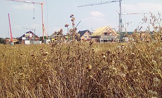 Baufortschritt: Im neuen Wohnquartier wird eifrig gebaut. - Hans-Hermann Igges