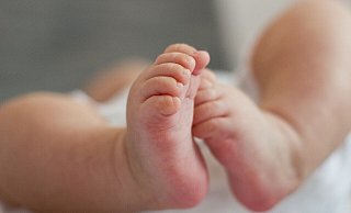 Sieben neue Erdenbürger wurden in Höxter in den vergangenen Wochen geboren. - Pixabay/Zoli