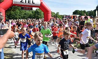 Sogar Sonnenschein gab es am Sonntag, 6. Juli, beim Start der jungen Läuferinnen und Läufer beim InSchildesche-Lauf 2025 in Bielefeld. - Felix Brenneke