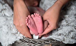 Zahlreiche neue Erdenbürger sorgen im Kreis Höxter für große Freude bei Eltern, Freunden und Familie. - Symbolbild: Pixabay