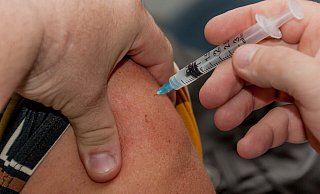 SCP-Trainer Lukas Kwasniok will sich nicht gegen Corona impfen lassen. Paderborner Sportfunktionäre sehen das kritisch. - (Symbolbild) Pixabay