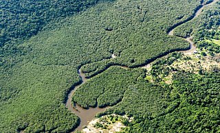 Ein kleiner Fluss schlängelt sich durch den Amazonas-Regenwald. Das brasilianische Amazonasgebiet gilt als CO2-Speicher. - Jens Büttner/dpa