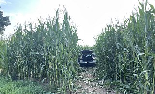 Der VW des Hillers wurde nach dem heftigen Zusammenstoß in ein Maisfeld geschoben. MT-Foto:. MT-Foto: - Janina Pietruschka