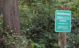 Waldweg: Das Betreten geschieht auf eigene Gefahr - so steht es auf diesem Schild im Kreis Höxter. - Simone Flörke
