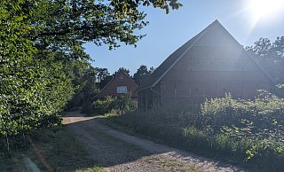 Die Tiere wurden von einem alten Bauernhof in Vennebeck gerettet. Polizei, Ordnungsamt und Tierschützer waren vor Ort. - Janina Schrader
