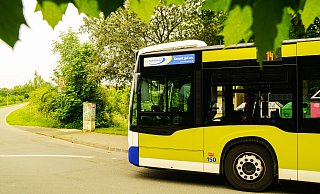 Der Padersprinter plant eine neue Wendeanlage am Gut Lippesee. Dafür soll ein Schotterparkplatz teils weichen. - Padersprinter