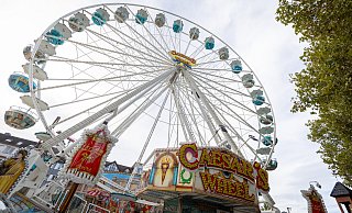 Am Wochenende ist einiges in OWL los: Unter anderem findet die Herbstlibori in Paderborn statt. - Niklas Tüns