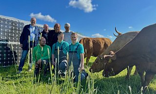 Zwischen Kühen und PV-Zaun im Kreis Paderborn: SoLawi-Mitglied Ulrich Büse (v. l.), Willi Ernst von der Biohaus-Stiftung, Ernst-Leopold Klipstein, Andreas Watzek (SoLawi Vauß-Hof), Marius Pötting (vorne, v. l., ebenfalls vom Vauß-Hof) sowie zwei Auszubildende von Westfalen Weser, Maximilian Knies undFabian Erhardt. - Danielle Dörsing