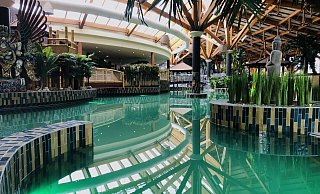 Das Wsser der Therme wird künftig grün beleuchtet. Pflanzen und Dekoration sollen den Badegästen ein Dschungelerlebnis bieten. - Silke Wedler/Bali-Therme