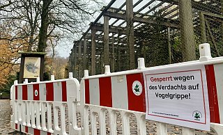 Der Bereich der Vogelvolieren – beginnend am unteren Teich bis zum Bärengehege – im Bielefelder Tierpark Olderdissen ist seit Mittwochabend abgesperrt. - Ivonne Michel