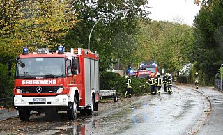 Die Feuerwehrleute waren an der Harsewinkeler Wadenhardstraße damit beschäftigt, die umgestürzten Bäume zu beseitigen. - Andreas Eickhoff