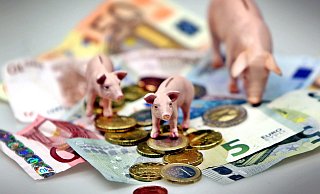 In der nächsten Ratssitzung wird erneut über die Haushaltssanierung der Stadt Löhne abgestimmt. - Sarah Jonek