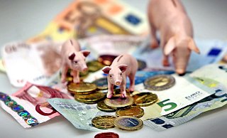 Der Haushalt der Stadt Bad Lippspringe für 2020 wurde verabschiedet. Bei der Schlussabstimmung fand der Etat eine starke Mehrheit im Rat. - Sarah Jonek