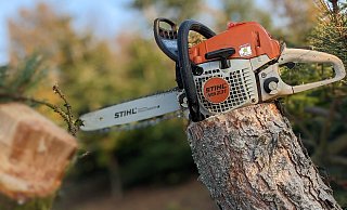 Das Ende naht... - David Knapp