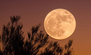 Der zweite Supermond des Jahres soll im November den Himmel erstrahlen lassen. - Symbolbild: Unsplash