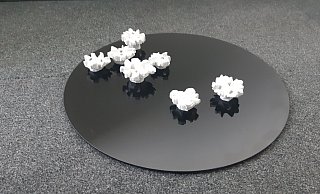 Dieses Modell zeigt, wie die Rikus-Rosen präsentiert werden sollen. - Stadt Paderborn