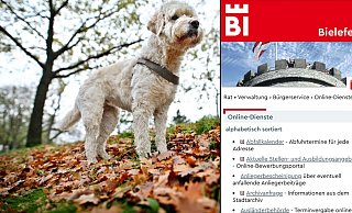 Einige Amtsgänge rund um den Hund können jetzt online erledigt werden. - Sarah Jonek/ Christine Panhorst