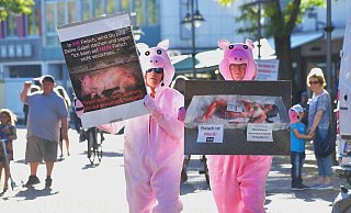 Nicht zum ersten Mal gibt es Proteste gegen den Tönnies-Konzern. Das Foto zeigt Demonstranten, die im Oktober 2018 auf dem Schinkenmarkt in Gütersloh auf die Straße gingen. - Jens Dünhölter