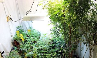 Bei einer Hausdurchsuchungen in Minden-Meißen wurden die Ermittler fündig. - Polizei