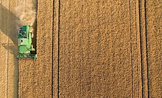 Spitzenreiter: Landwirte in OWL arbeiten mit am längsten. - dpa