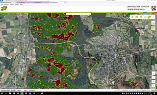 Bei Bad Driburg (r.) sind auf der mit Satellitendaten gespeisten Karte einige rote Flecken zu erkennen. - Wald und Holz