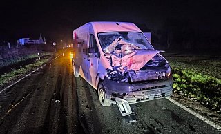 Der Sprinter hatte nach dem Unfall mit dem Pferd einen Totalschaden. - privat