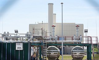  - Waltraud Grubitzsch/dpa