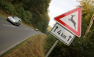 Die Polizei appelliert an die Autofahrer, bei diesen Gefahrenzeichen besonders vorsichtig und aufmerksam zu fahren. - David Schellenberg