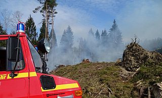 Dieser Brand im Ringelsteiner Wald konnte dank früher Alarmierung der Feuerwehr schnell gelöscht werden. - Jan Preller