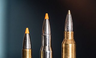 Jagdpatronen im Kaliber 308 Winchester (l-r), 30-06 Springfield und 300 Winchester Magnum stehen bei einem Jäger auf einem Waffenschrank. (Symbolbild) - Silas Stein/dpa