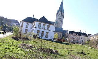 Der nach dem Tornado im Geisselschen Garten entstandene Wildwuchs ist im Vorfeld der Neugestaltung weitgehend entfernt worden. - Holger Kosbab