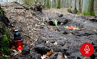 In dieser Senke am Rande eines Wäldchens in Kölkebeck fand ein Landwirt im Februar 2012 die sterblichen Überreste von Nelli Graf. - Nicole Donath
