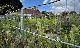 Das leerstehende Hotel-Restaurant Büscher in Bielefeld-Quelle verfällt seit Dezember 2023. Die Pflanzenwelt hat den Biergarten bereits rückerobert. - Susanne Lahr