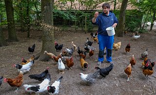 Der Hofbetrieb läuft auch während Corona weiter: Hier füttert Jan Ritter die muntere Hühnerschar. - Foto: Andreas Zobe/NW
