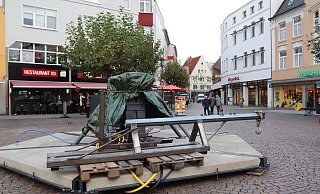 Oh Tannenbaum: Der Baumständer für die Weihnachtsstanne steht schon auf dem Alten Markt. - Alexandra Golfinger