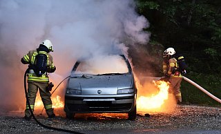 Feuerwehrmänner löschen ein brennendes Auto (Symbolbild). - Pixabay