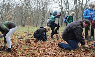 Mehr als 50 Paderbornerinnen und Paderborner aus unterschiedlichen Generationen helfen dabei, die zahlreichen Setzlinge zu verpflanzen. - Moritz Jülich