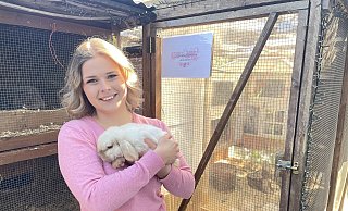 Sina Lüking züchtet in Bünde seit sechs Jahren Miniwidder-Kaninchen. Zuvor hat sie sich jahrelang ausgiebig mit der Genetik der Tiere beschäftigt. Das Ziel ihrer "Kuschelschlappohren"-Zucht: Die Kaninchen sollen in erster Linie gesund, aber auch menschenbezogen sein. - Natalie Gottwald
