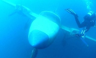 Schwebt im Wasser: Die Taucher fotografierten auch das zweimotorige Sportflugzeug im Kreidesee. - Systemadministrator